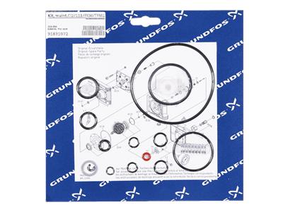 Grundfos Kit, Wartung Cl2/111/FKM/TFM1700/Vollvak. Bausatz 91835972