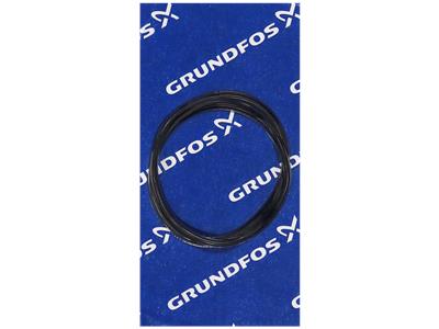 Grundfos Ersatz, O-Ring 129.5X3 Bauteil 97757693